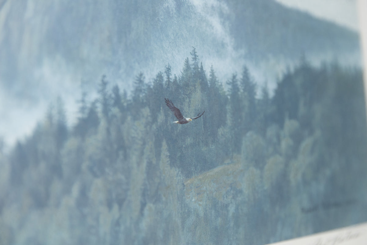 Thinking Like A Mountain