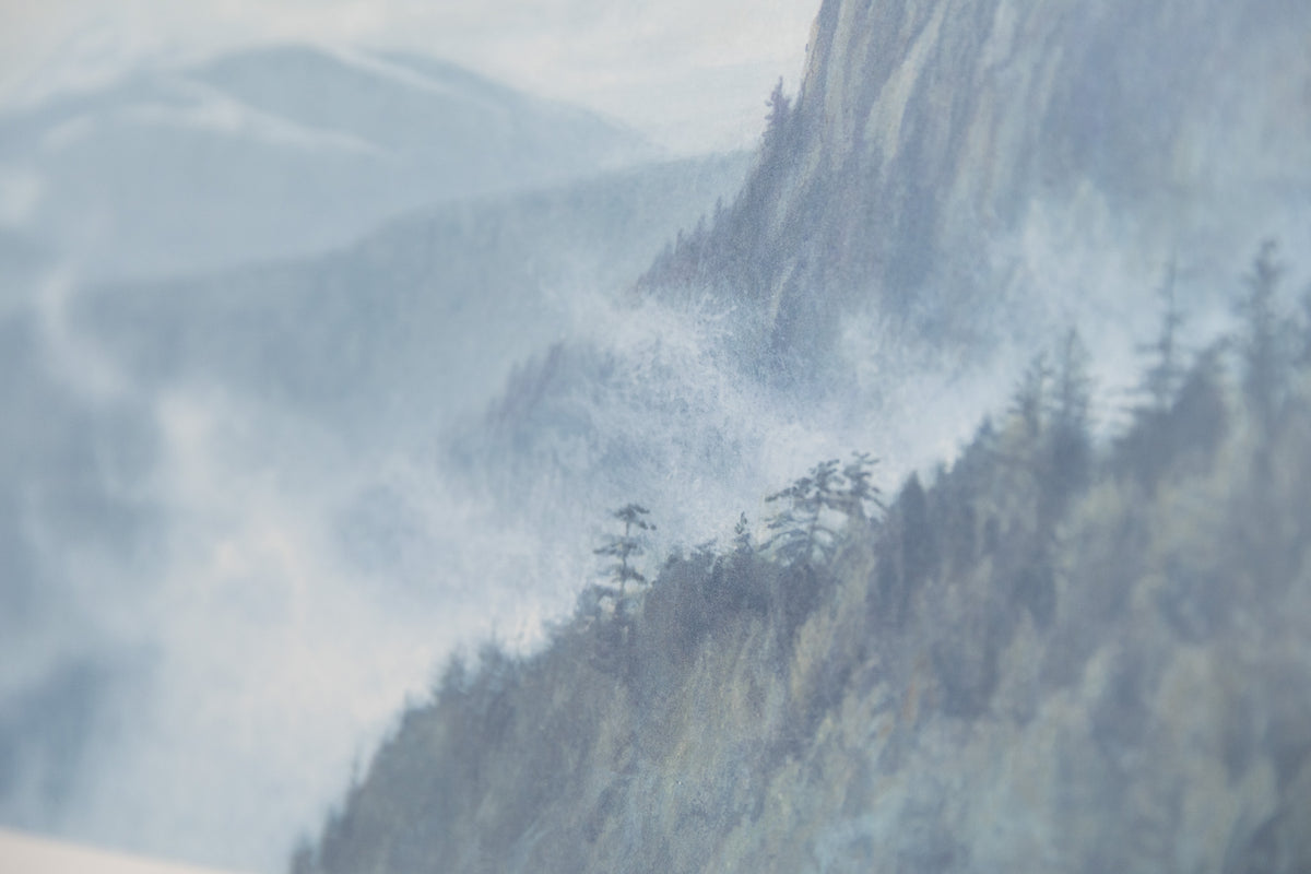 Thinking Like A Mountain