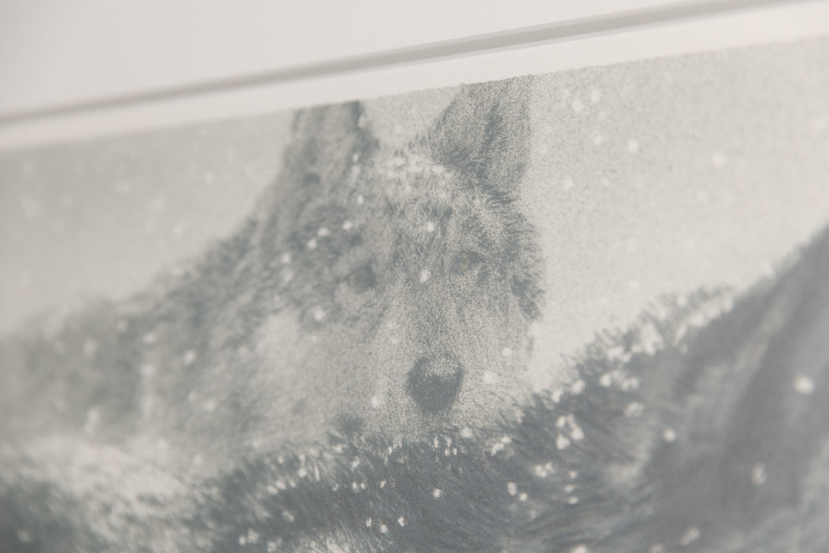 Robert Bateman, "Wolf Pair In Winter CE 125/200," detail view, offset lithograph