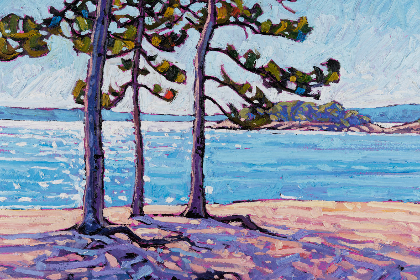 Afternoon Hike In Temagami