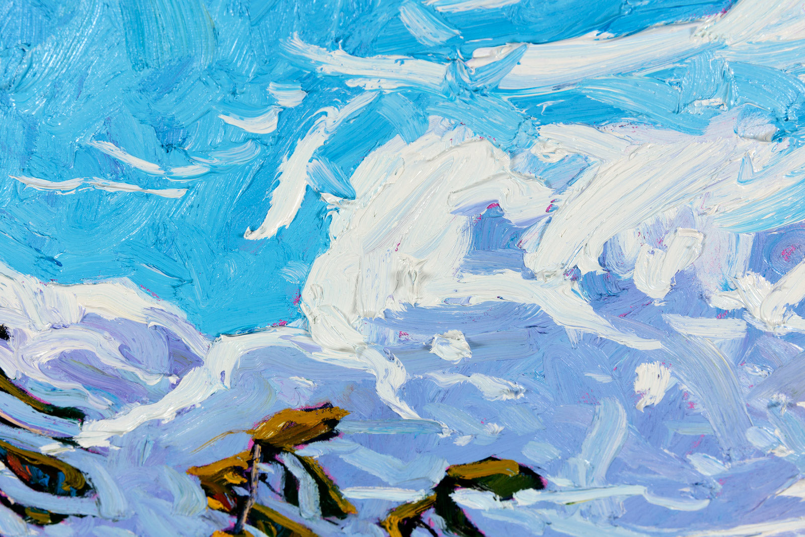 Windswept Island Pines, Georgian Bay