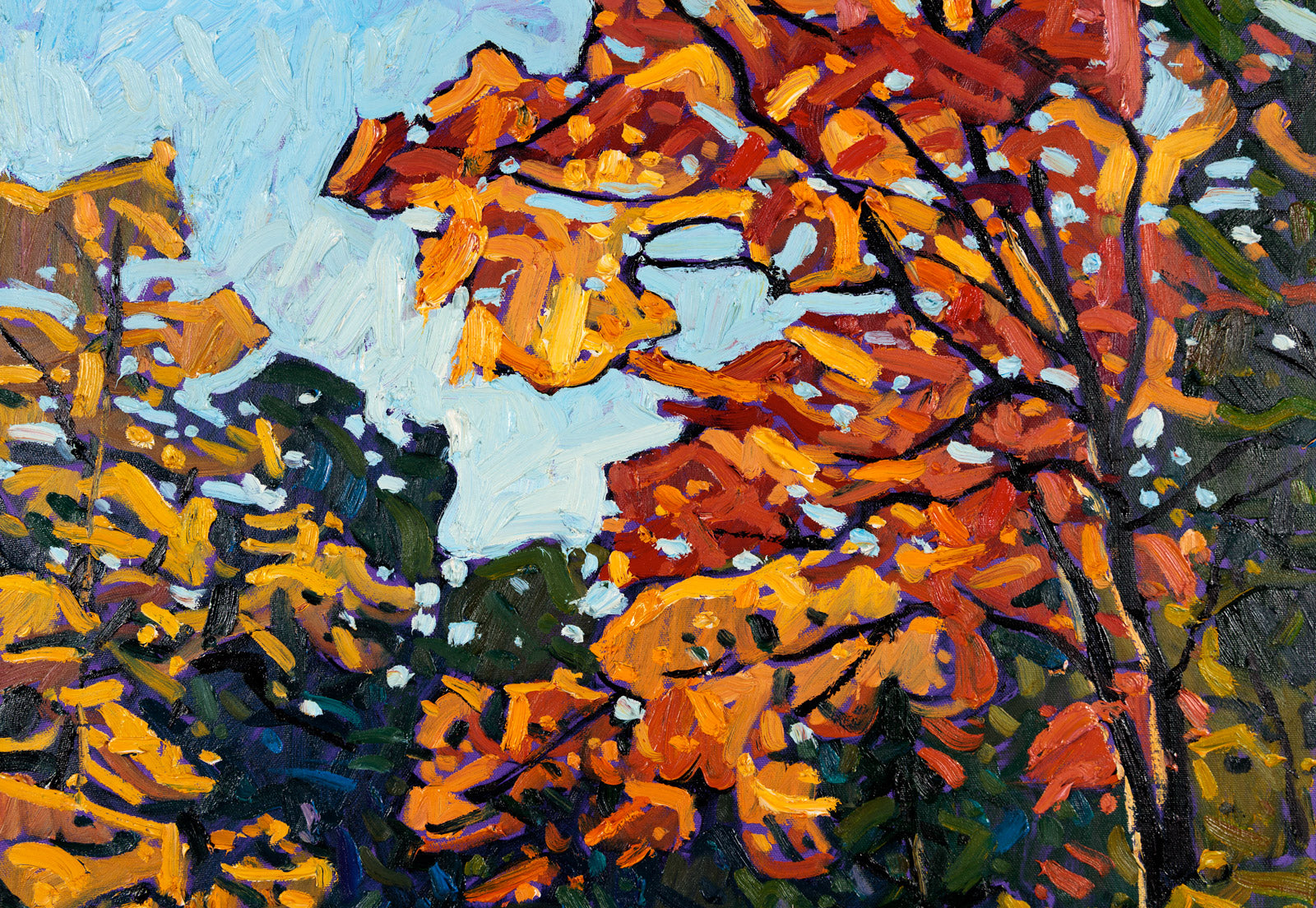 Vibrant Fall Colours, Muskoka