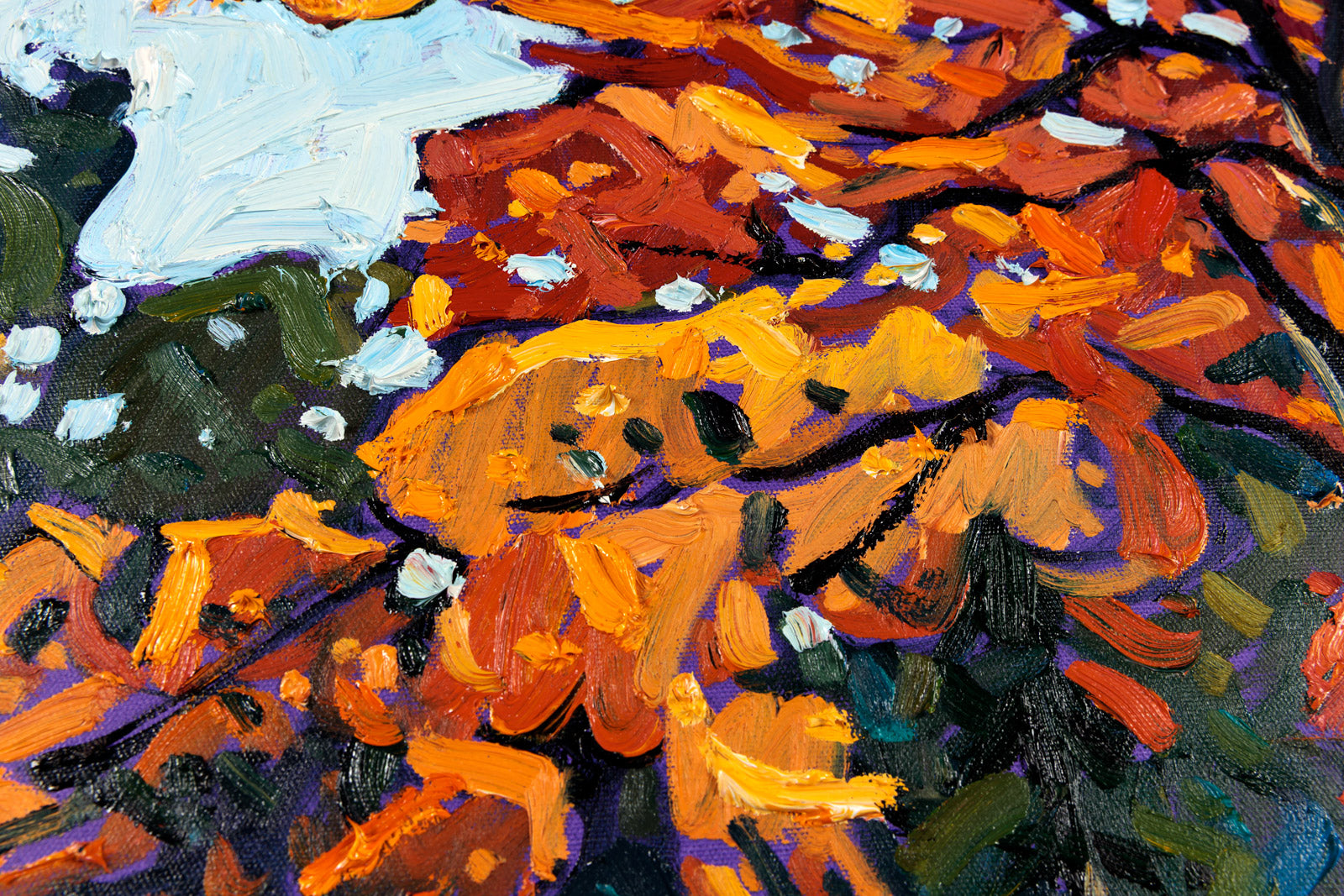 Vibrant Fall Colours, Muskoka