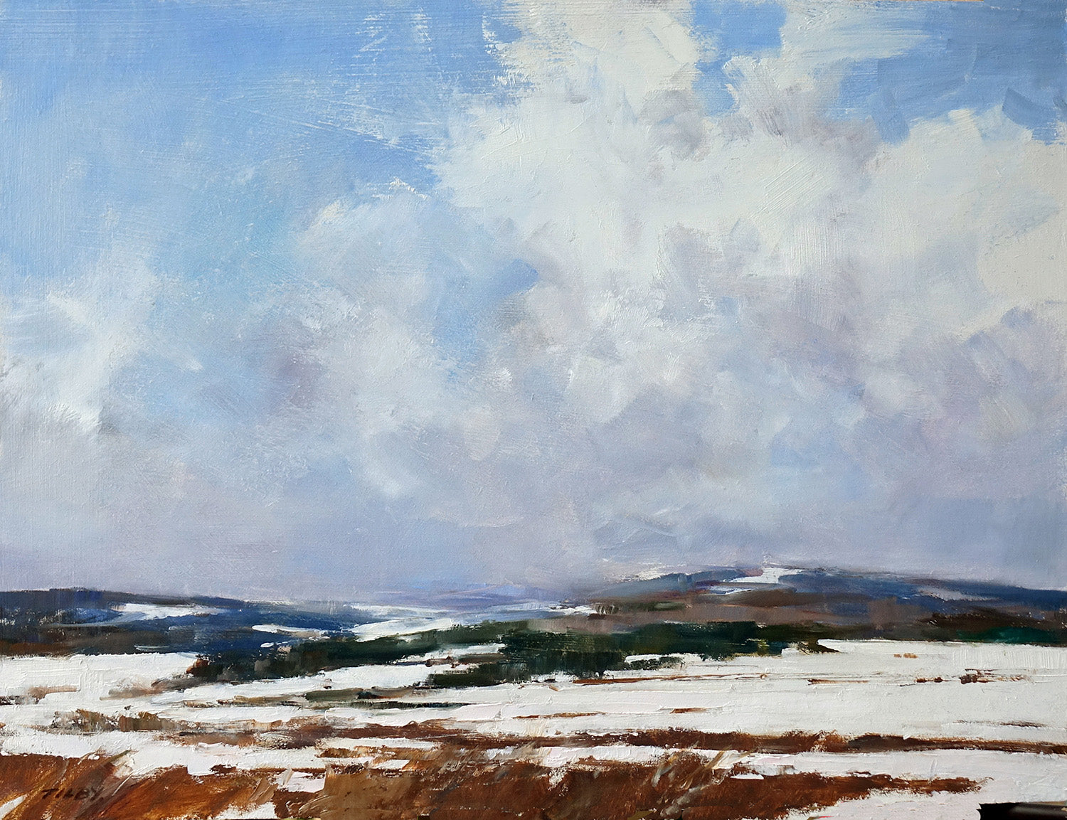 Landscape “Looking West” by Deborah Tilby – oil on panel.
