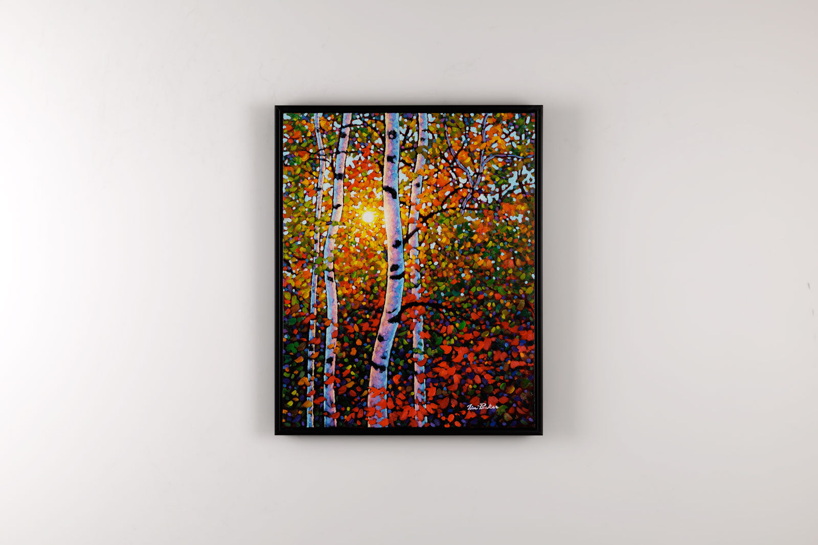The Birches Awaken