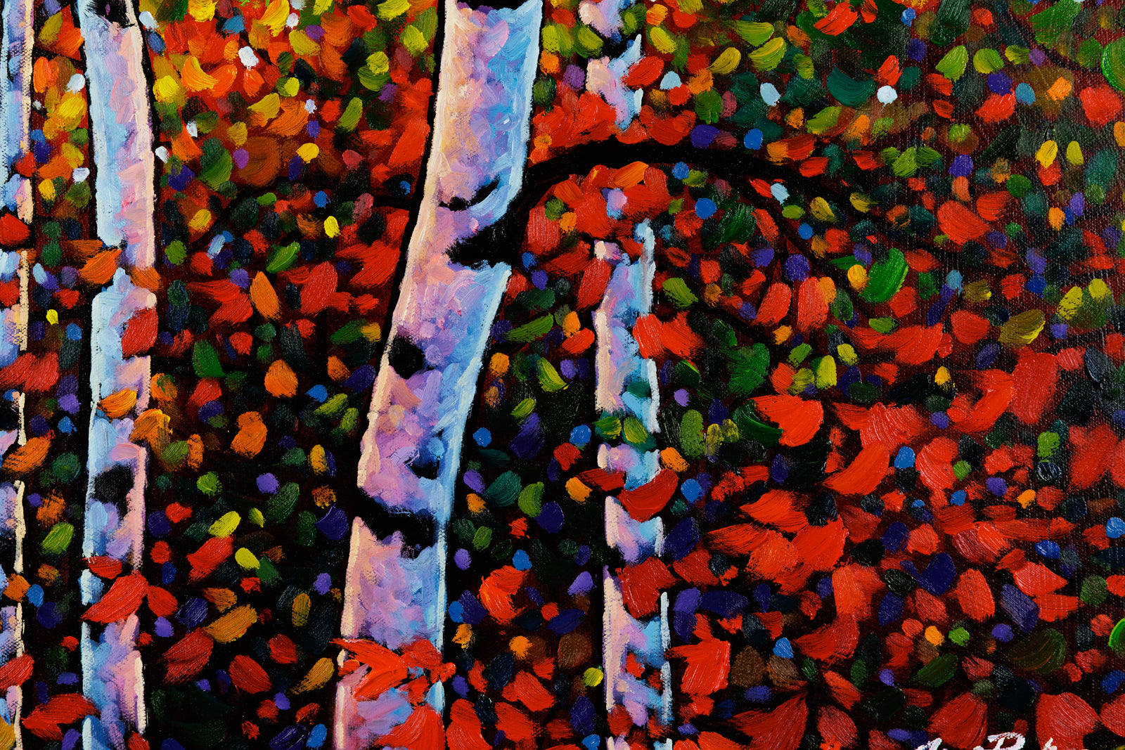 The Birches Awaken