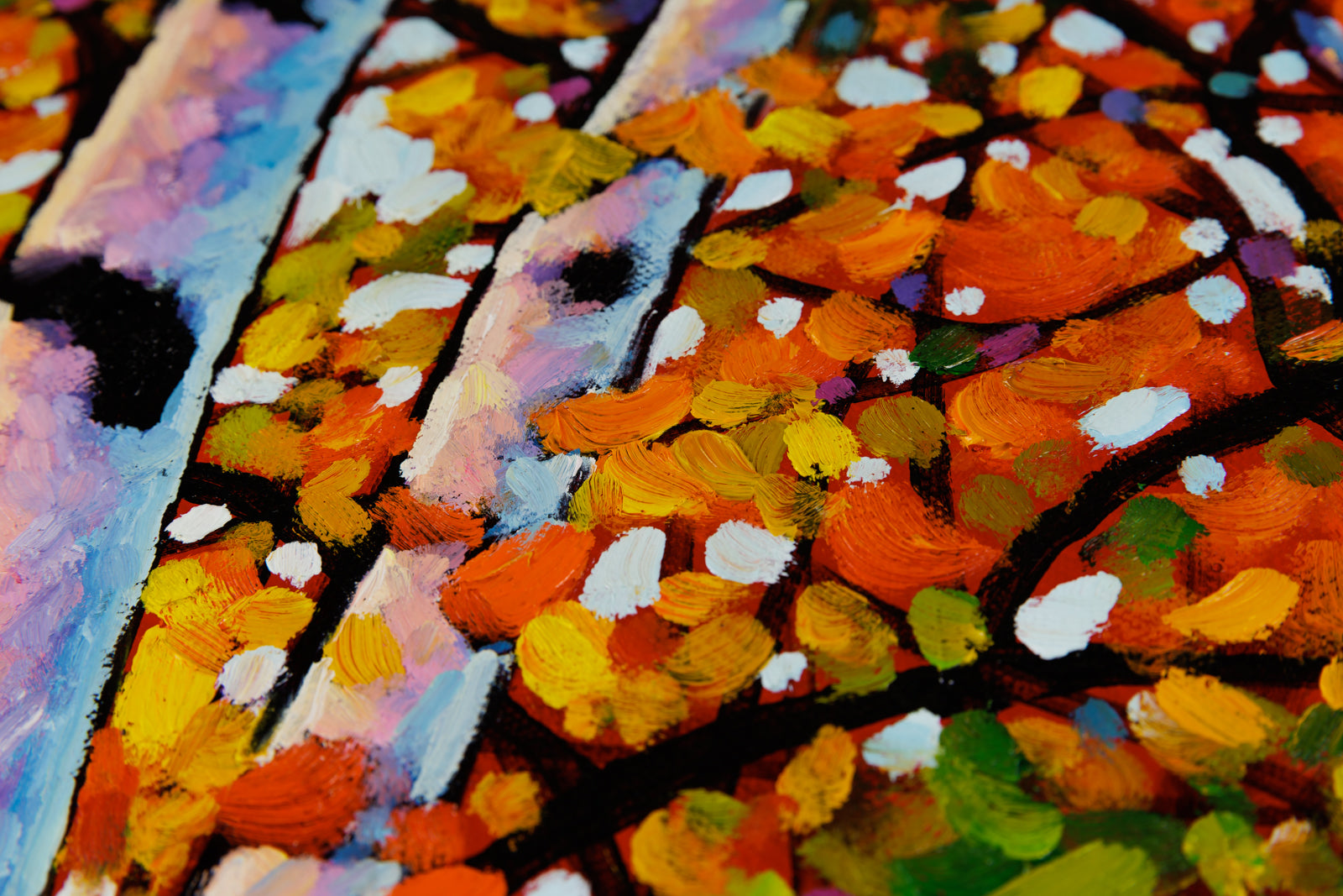The Birches Awaken