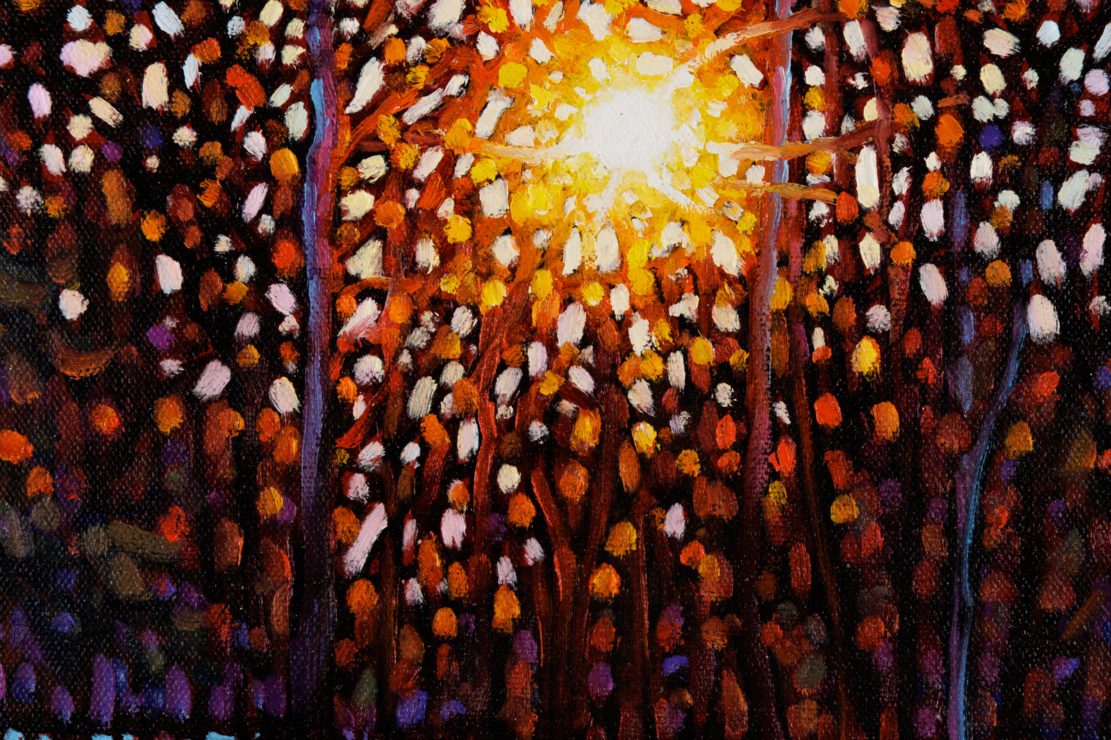 Sparkling Path