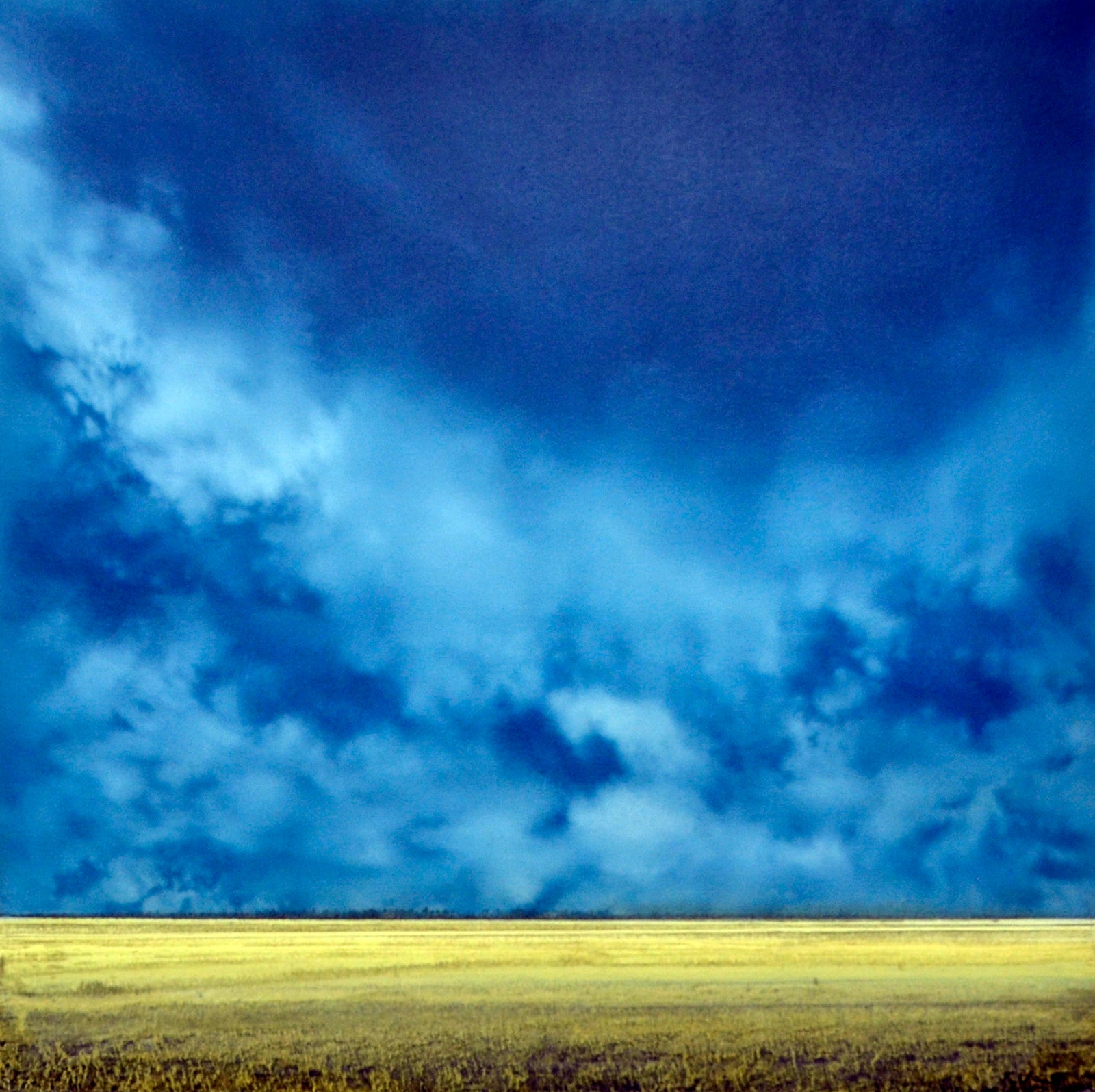 Landscape “Prairie Series”
