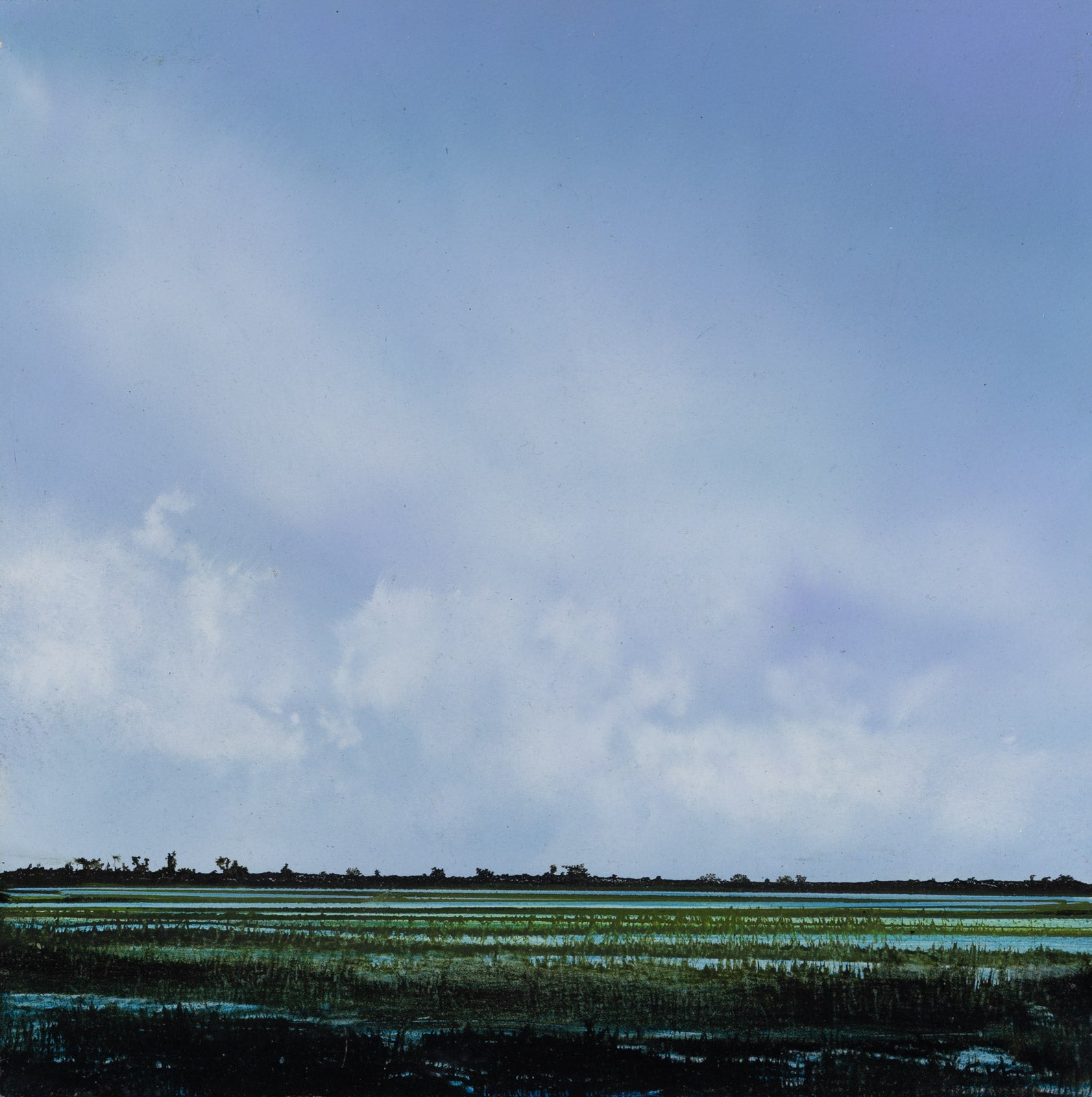 Landscape “Wetland 828” by Ken Vincent – acrylic on panel.