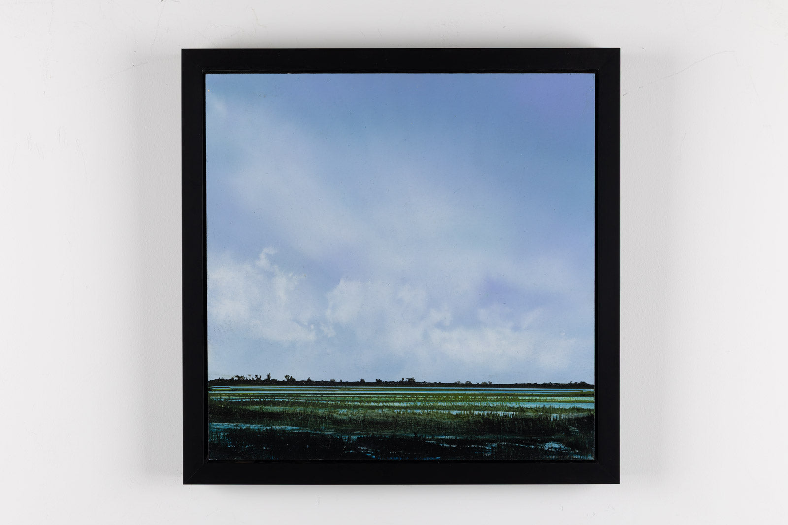Wetland 828