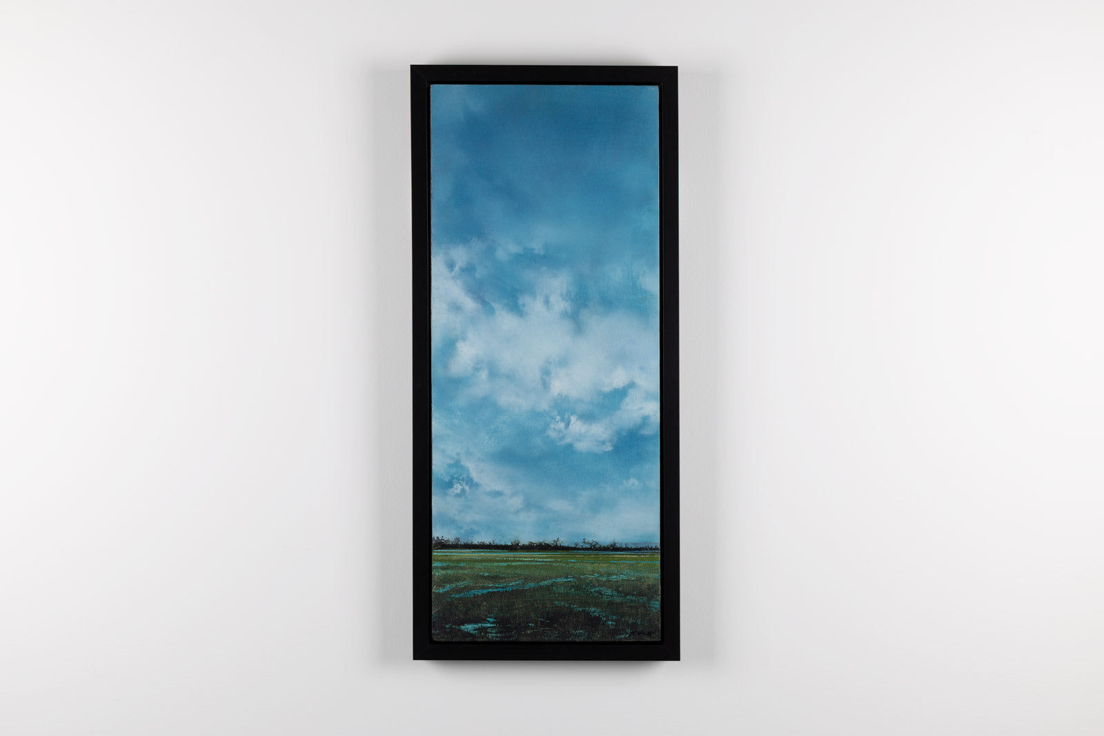 Wetland 941