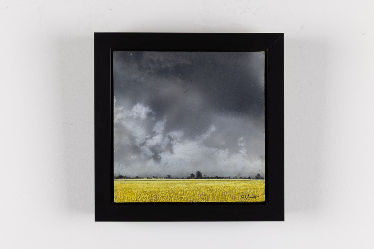 Prairie 647