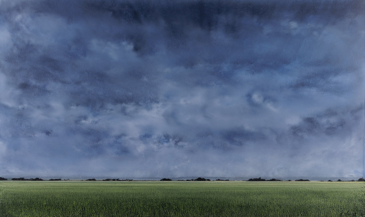 Summer Fields 225