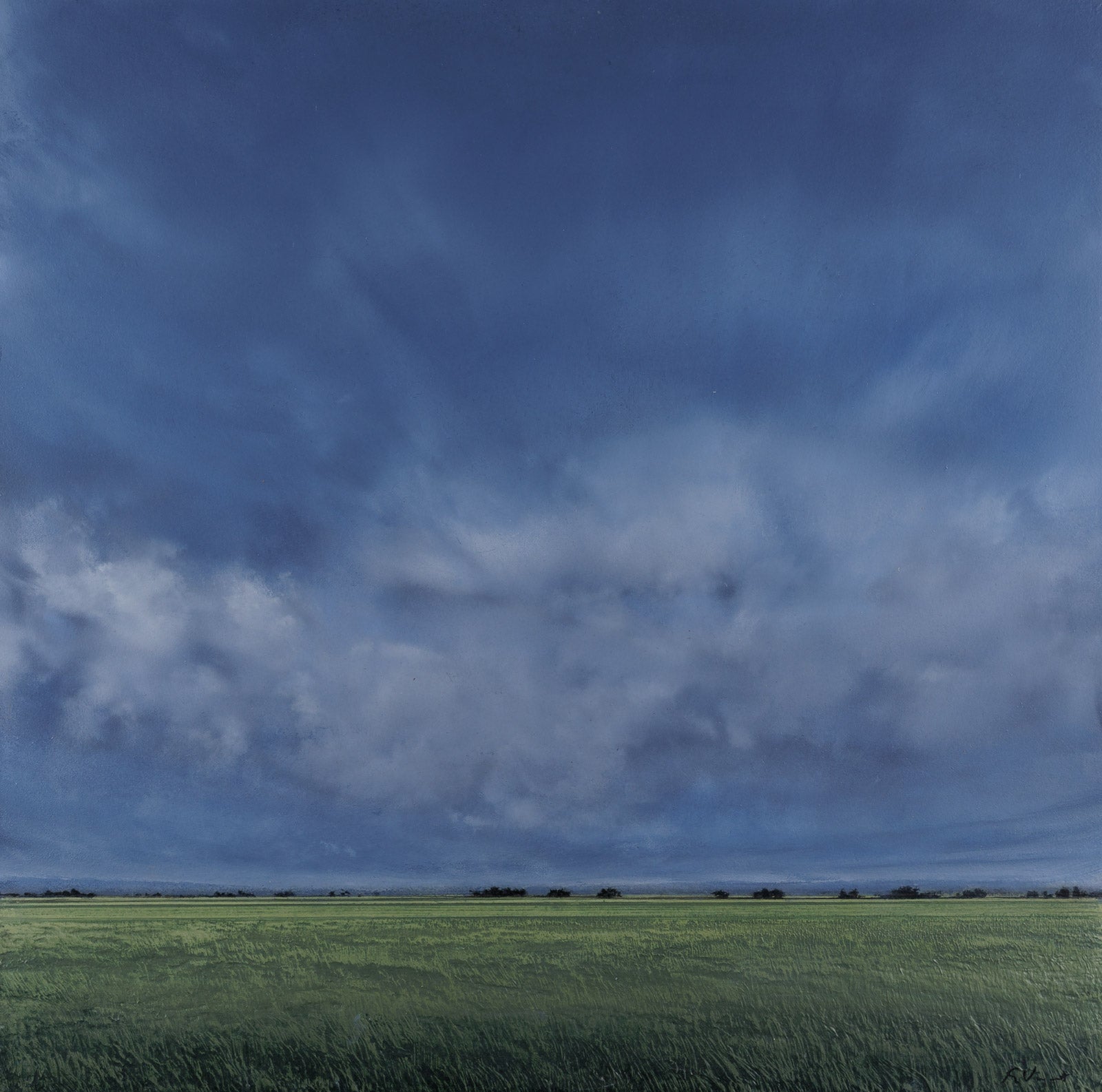 Clearing Sky 1002