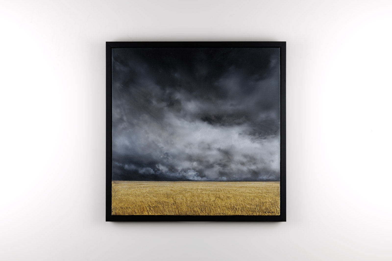 Storm Over Prairie 102