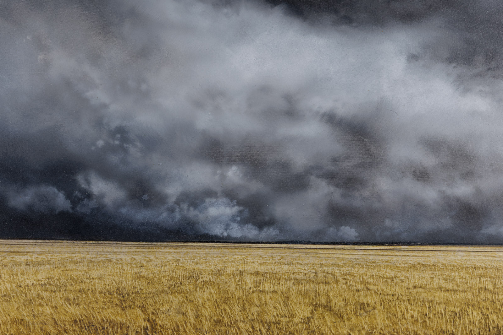 Storm Over Prairie 102
