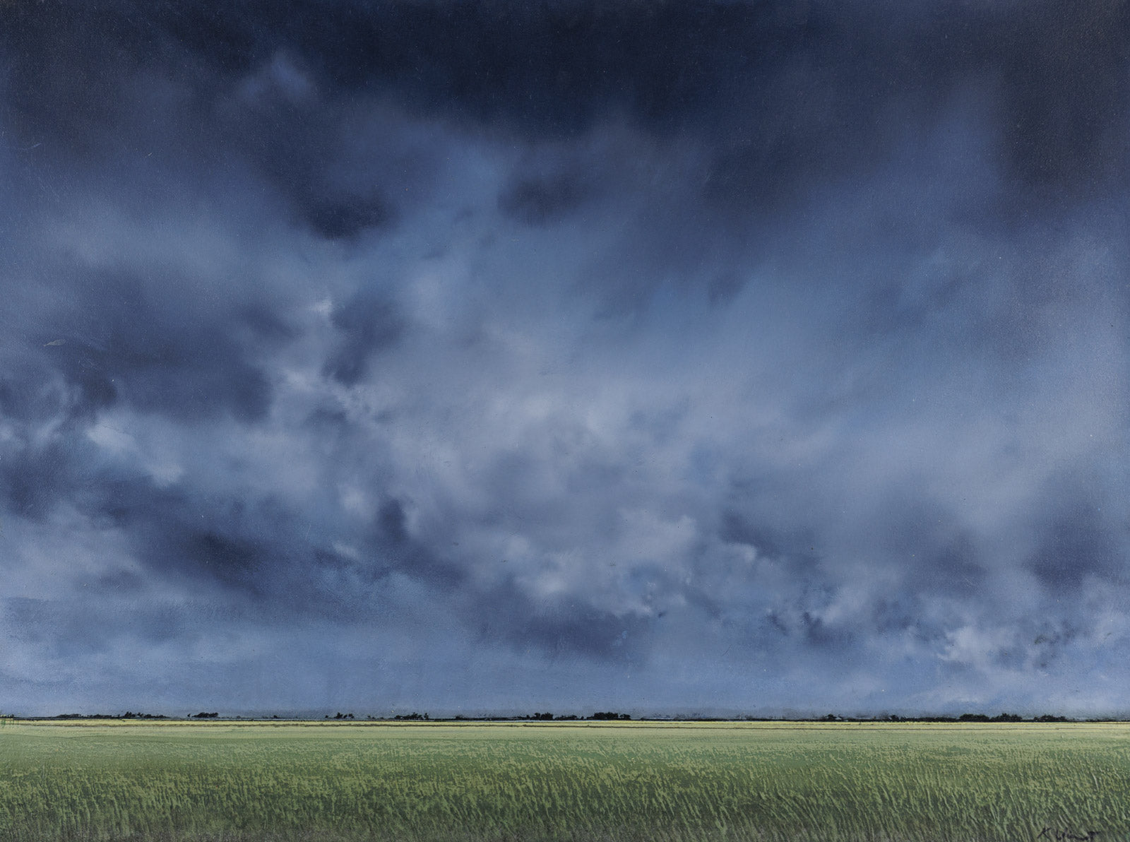 Summer Storm 605