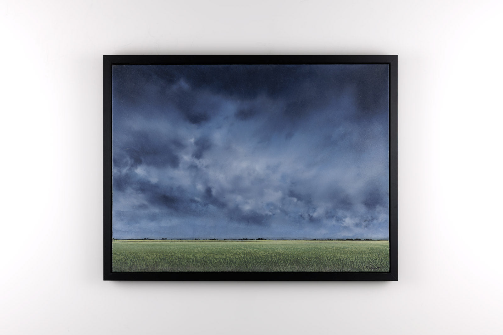 Summer Storm 605