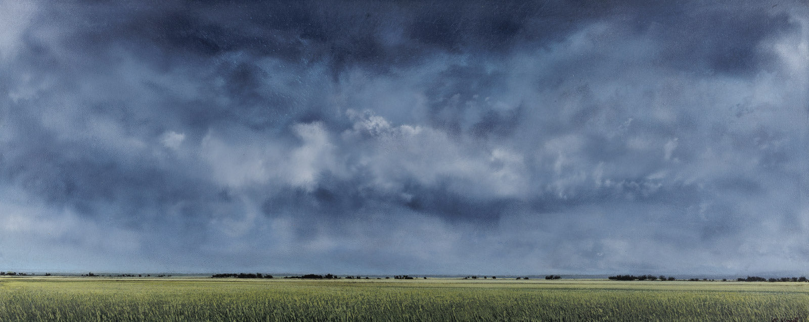 Prairie Treeline 1045