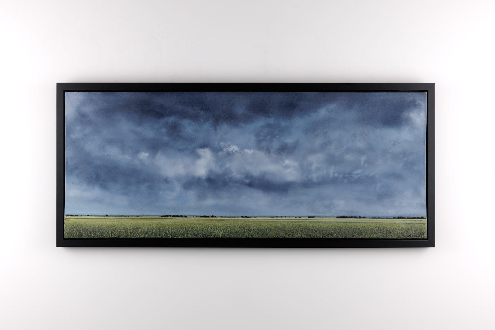 Prairie Treeline 1045