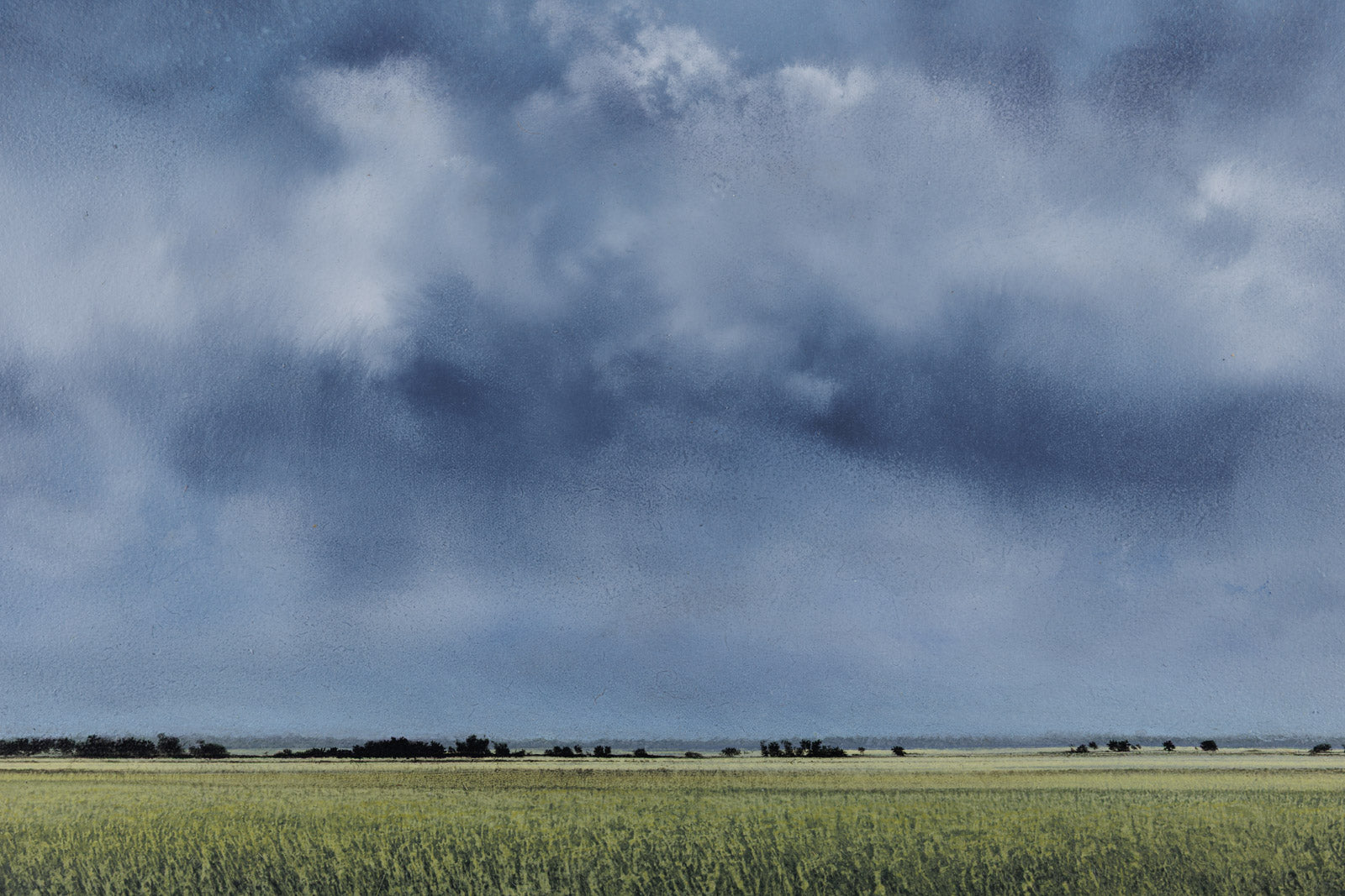 Prairie Treeline 1045