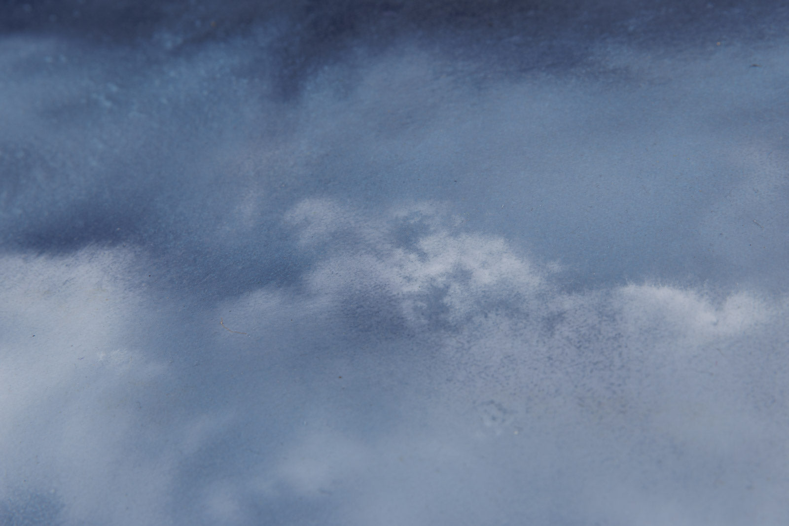 Prairie Treeline 1045