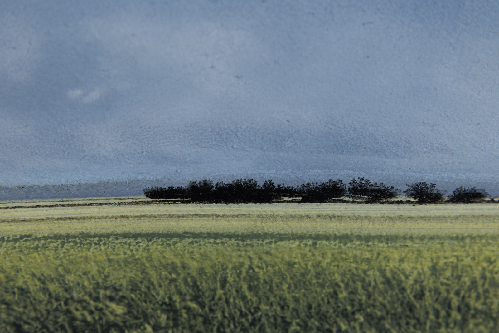 Prairie Treeline 1045