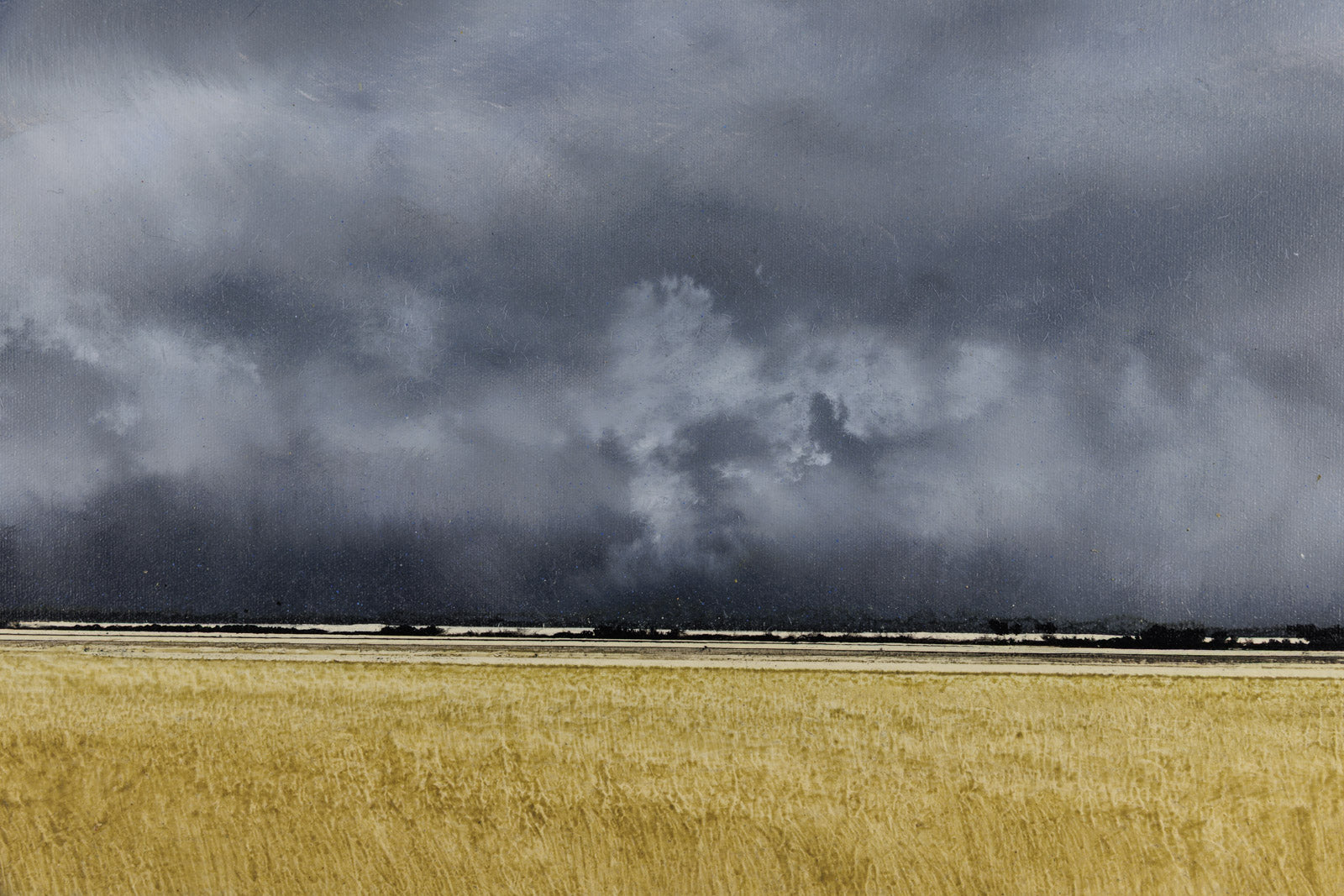 Prairie Storm 633