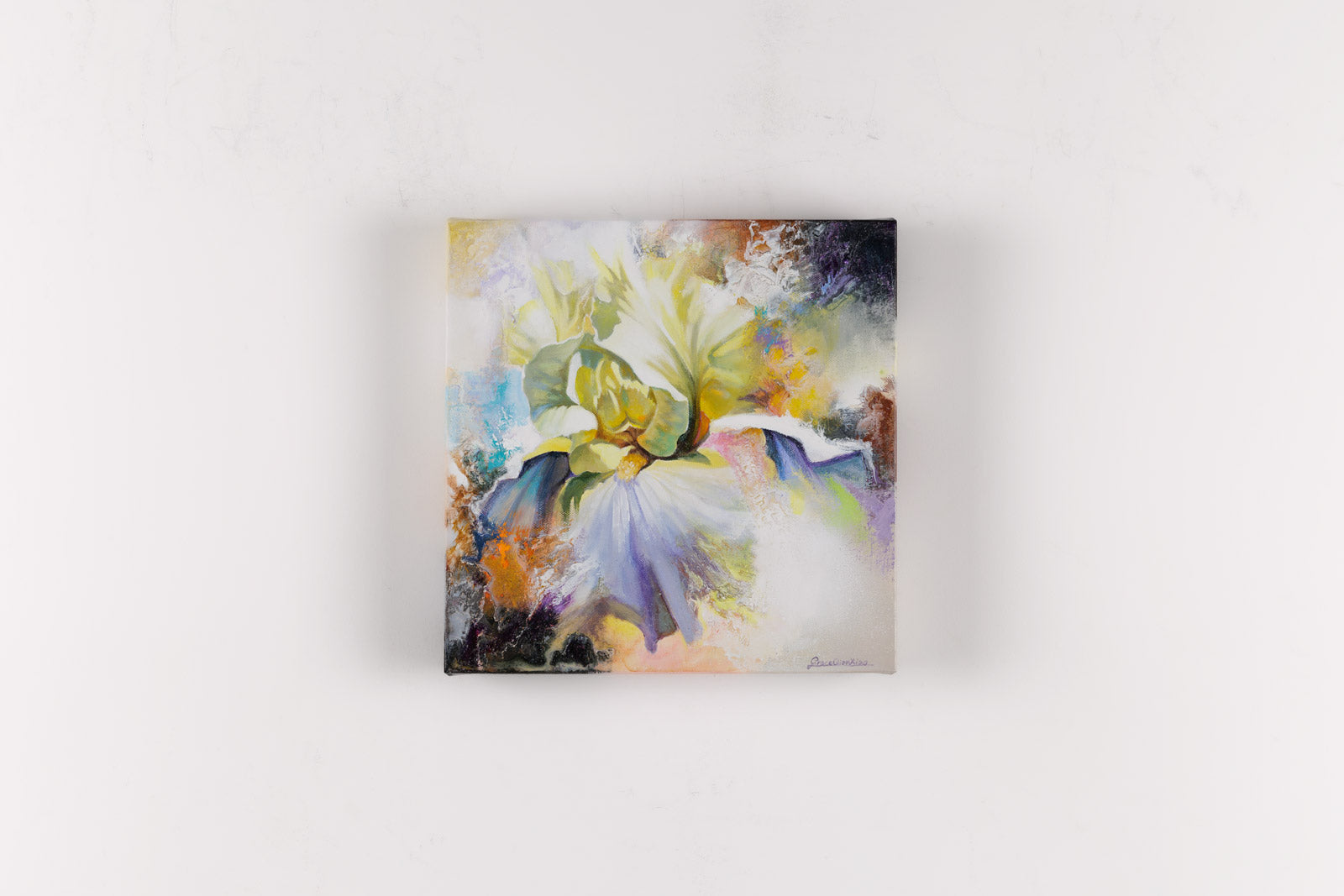 Body Mind Spirit #43