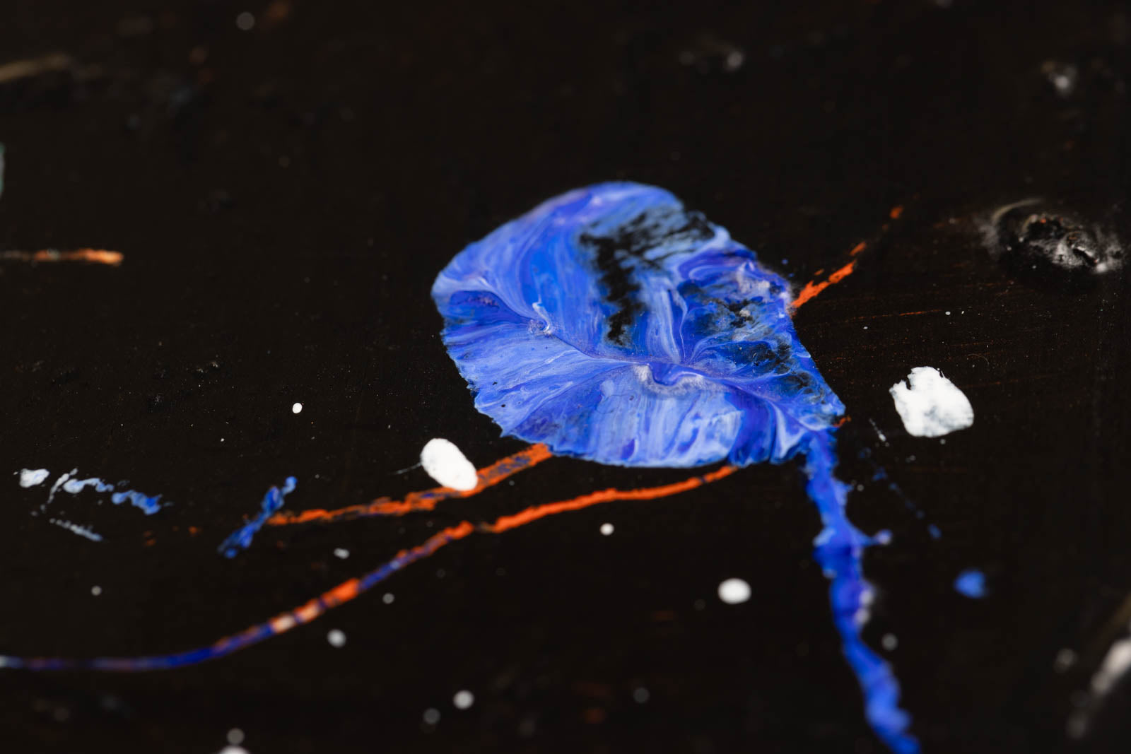 Memoires D'Une Voyageuse (Portrait d'Alexandra David-Neel)