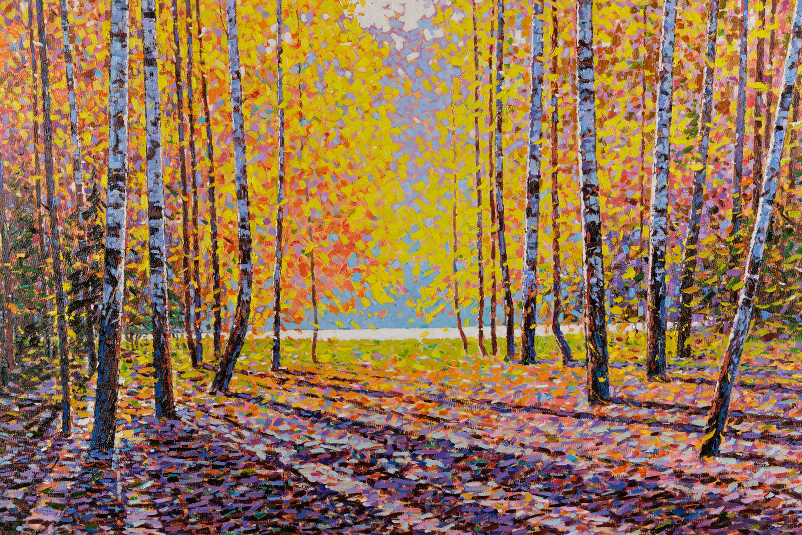 Early Autumn Forest