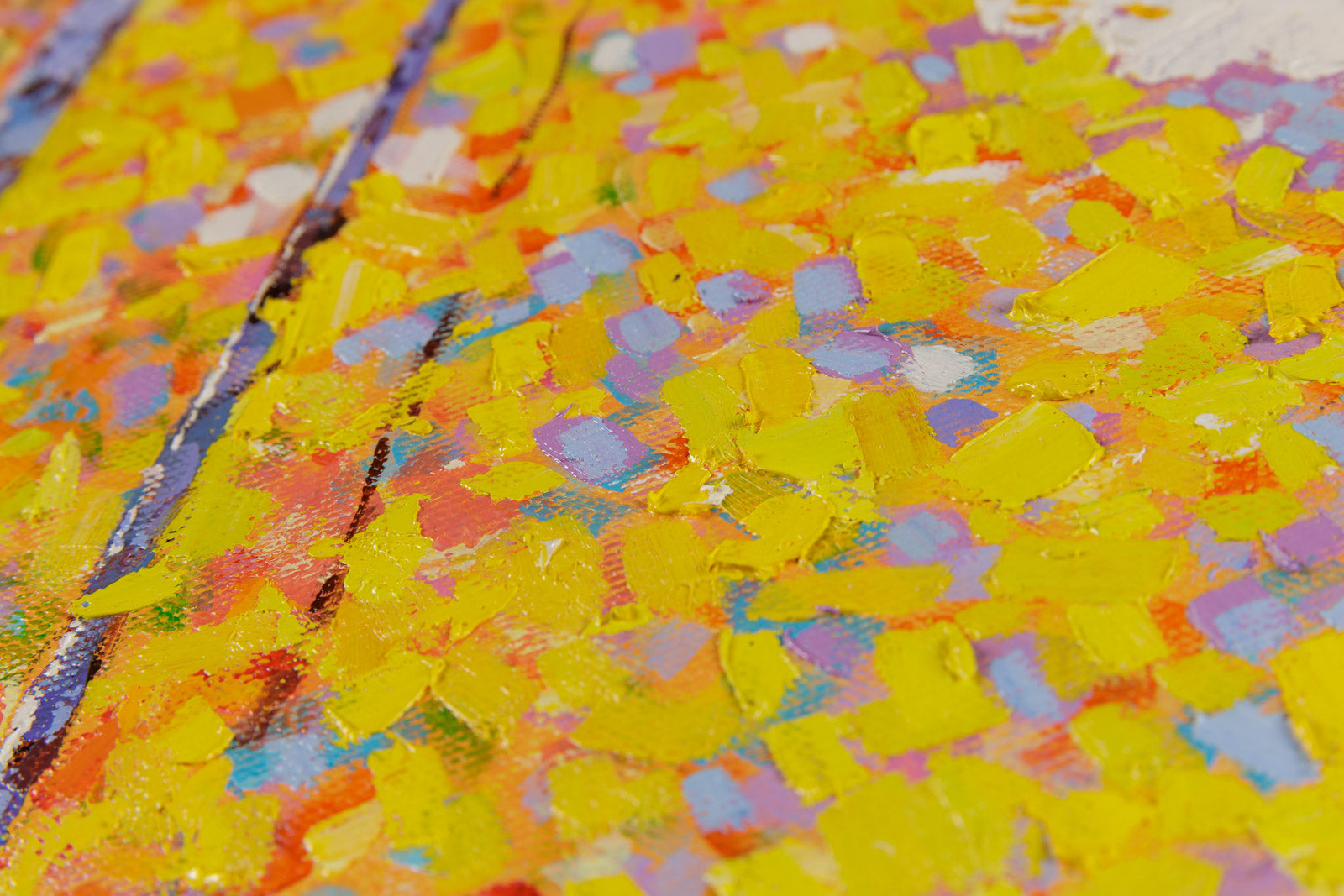 Early Autumn Forest