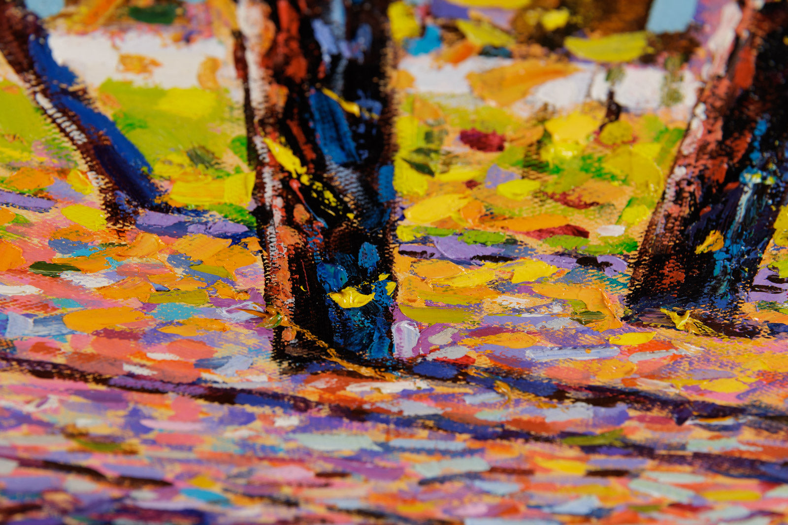 Early Autumn Forest