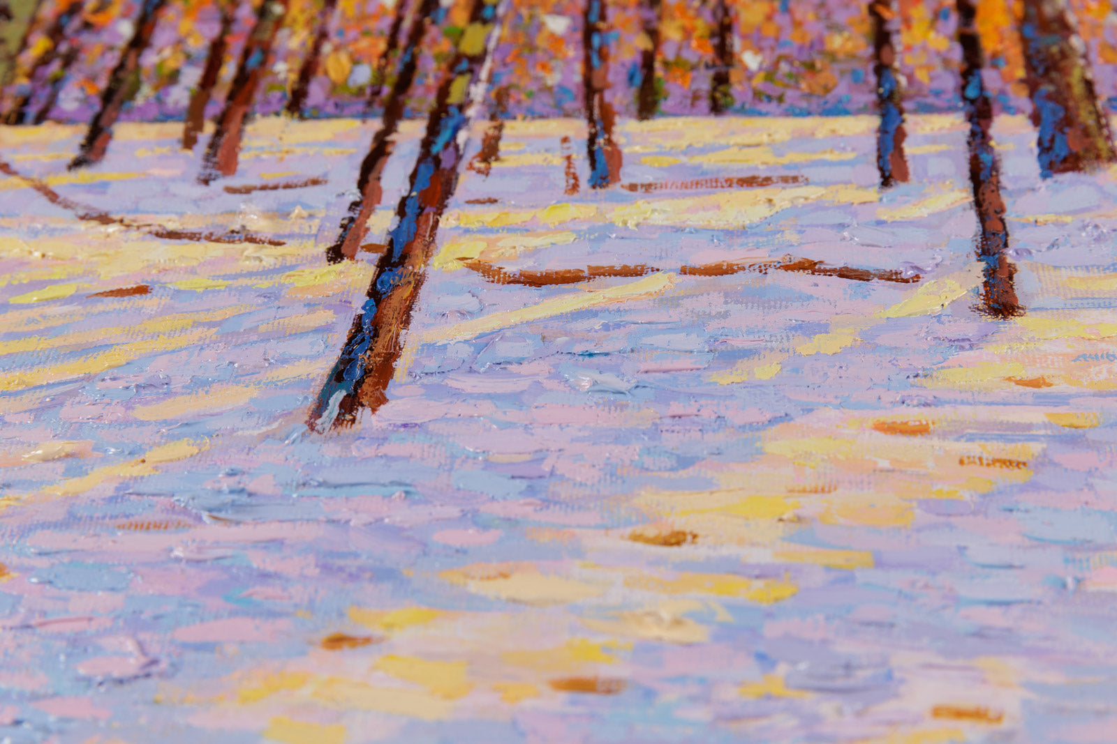 The First Snow