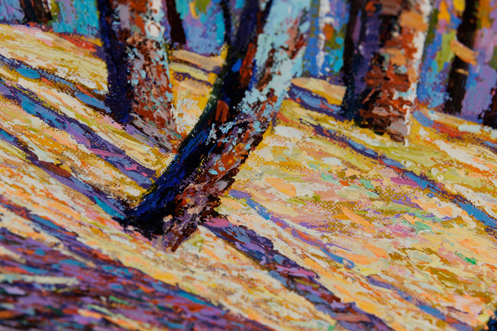 Rooted In Time