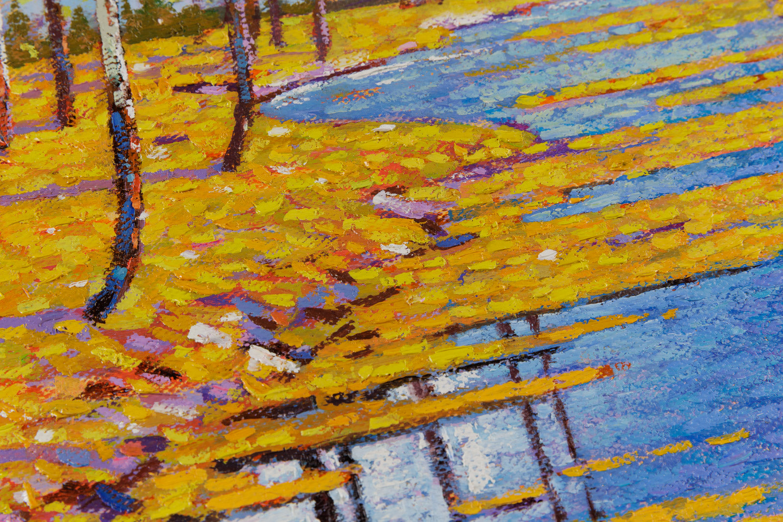 Fallen Leaves Creek