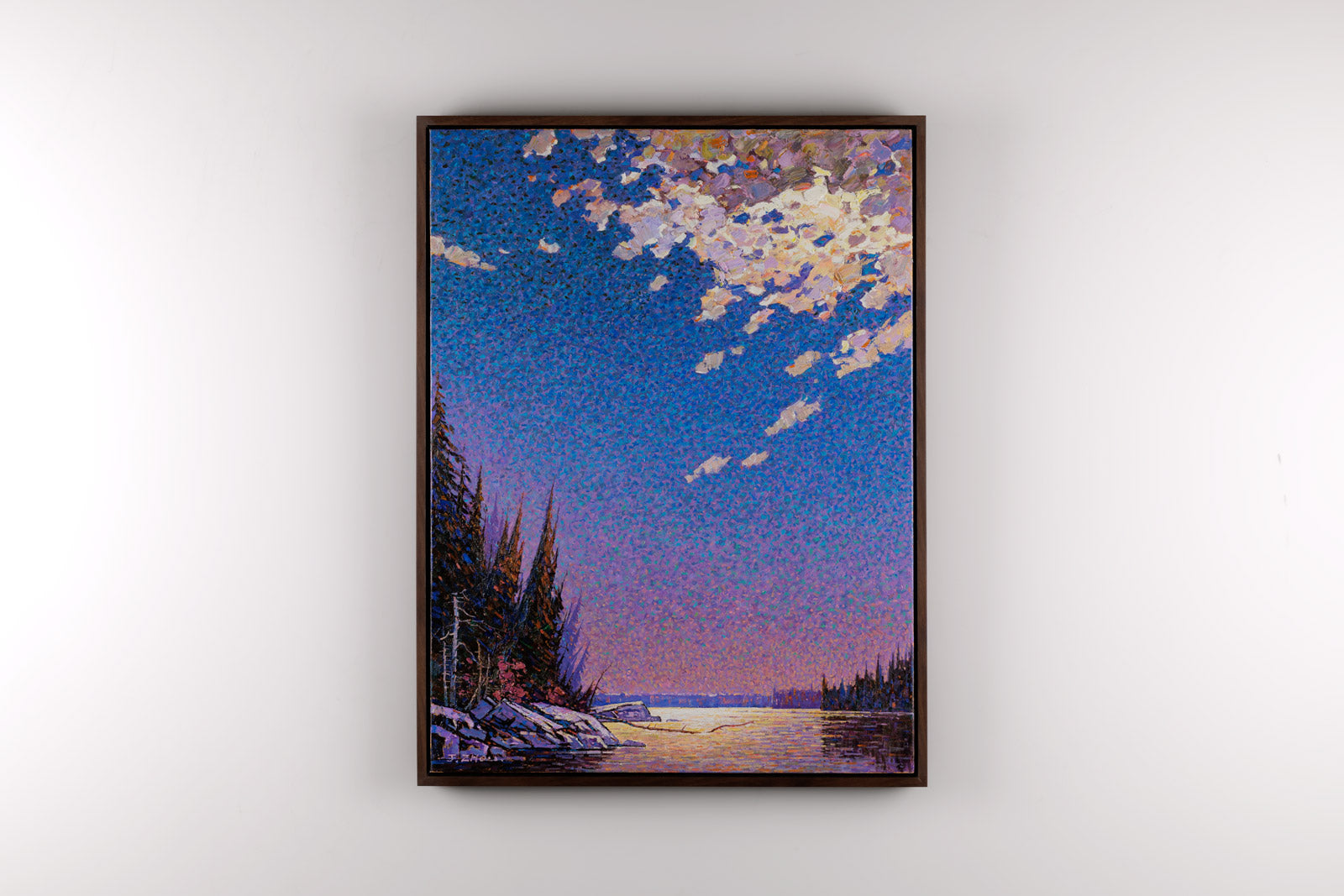 Moonlit Sky