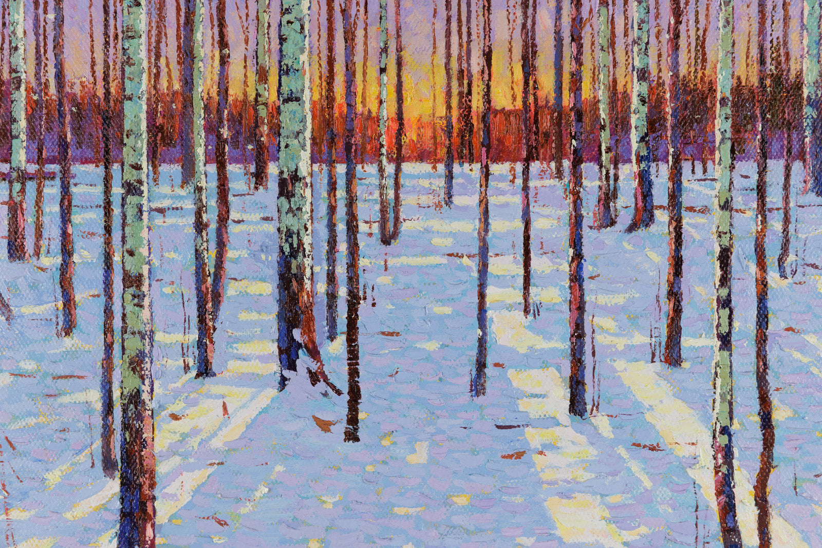 Birch Forest At Dusk