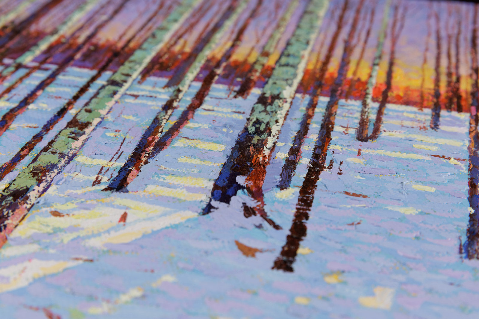 Birch Forest At Dusk
