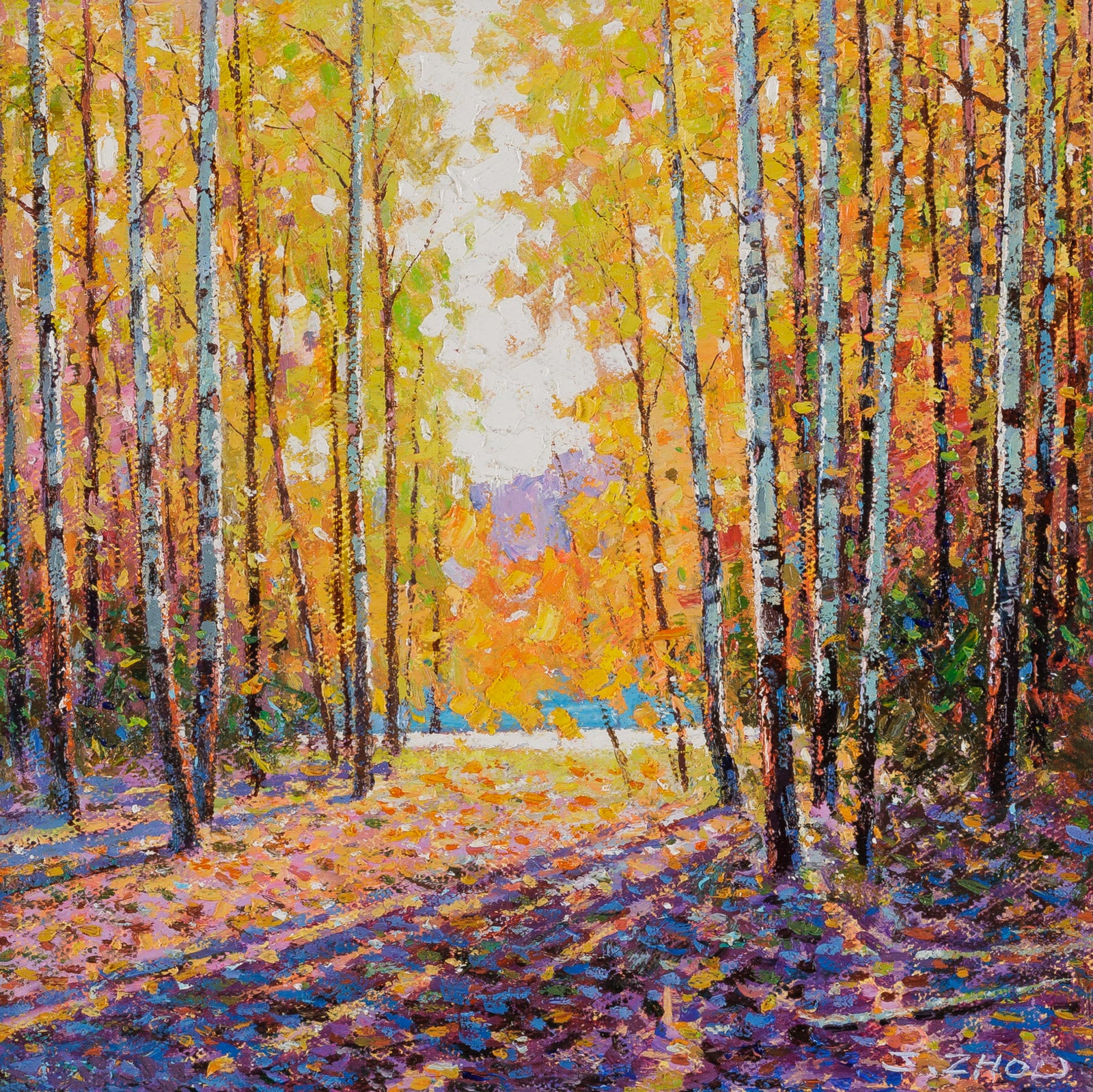 A Sunny Day