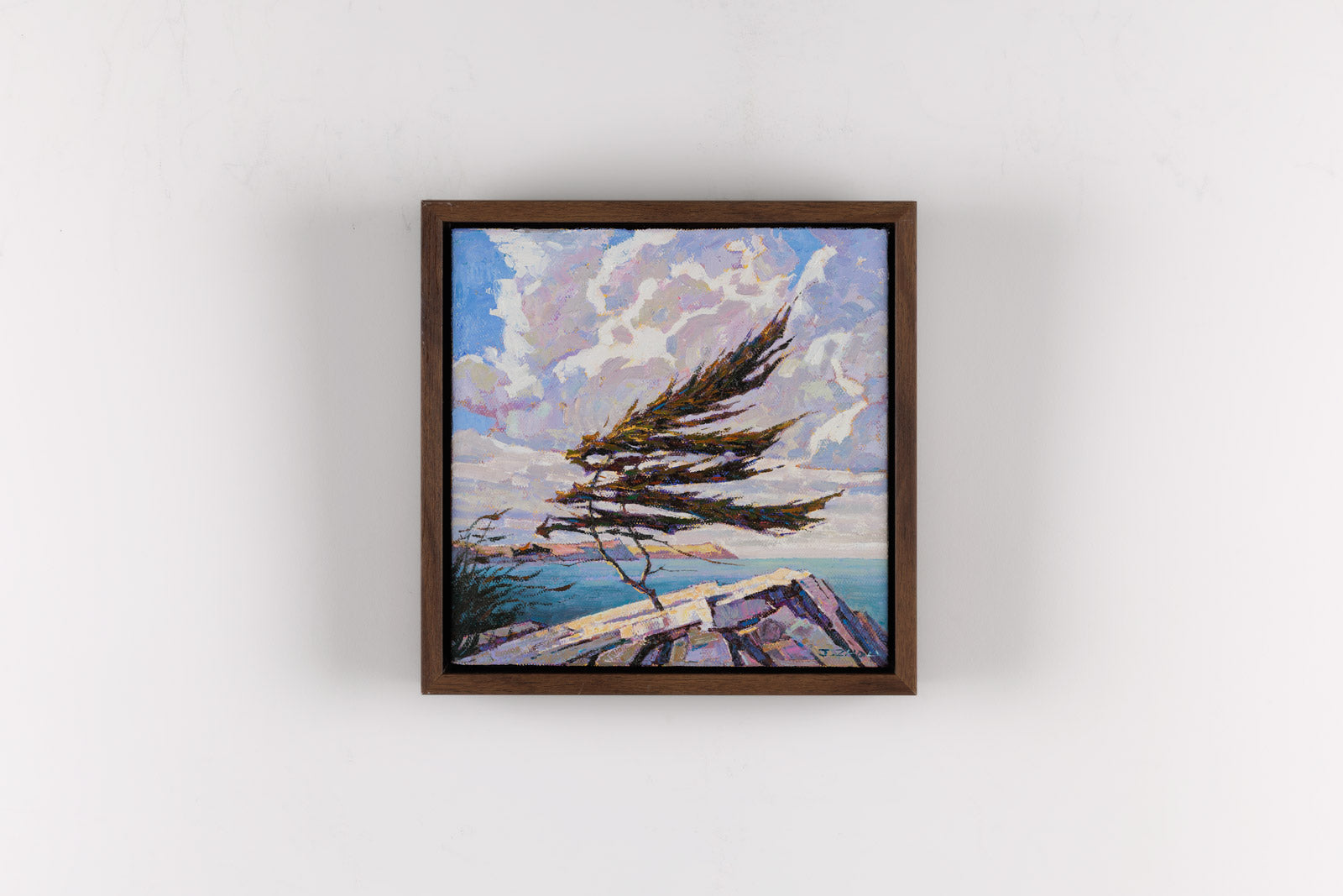 Dancing With Clouds