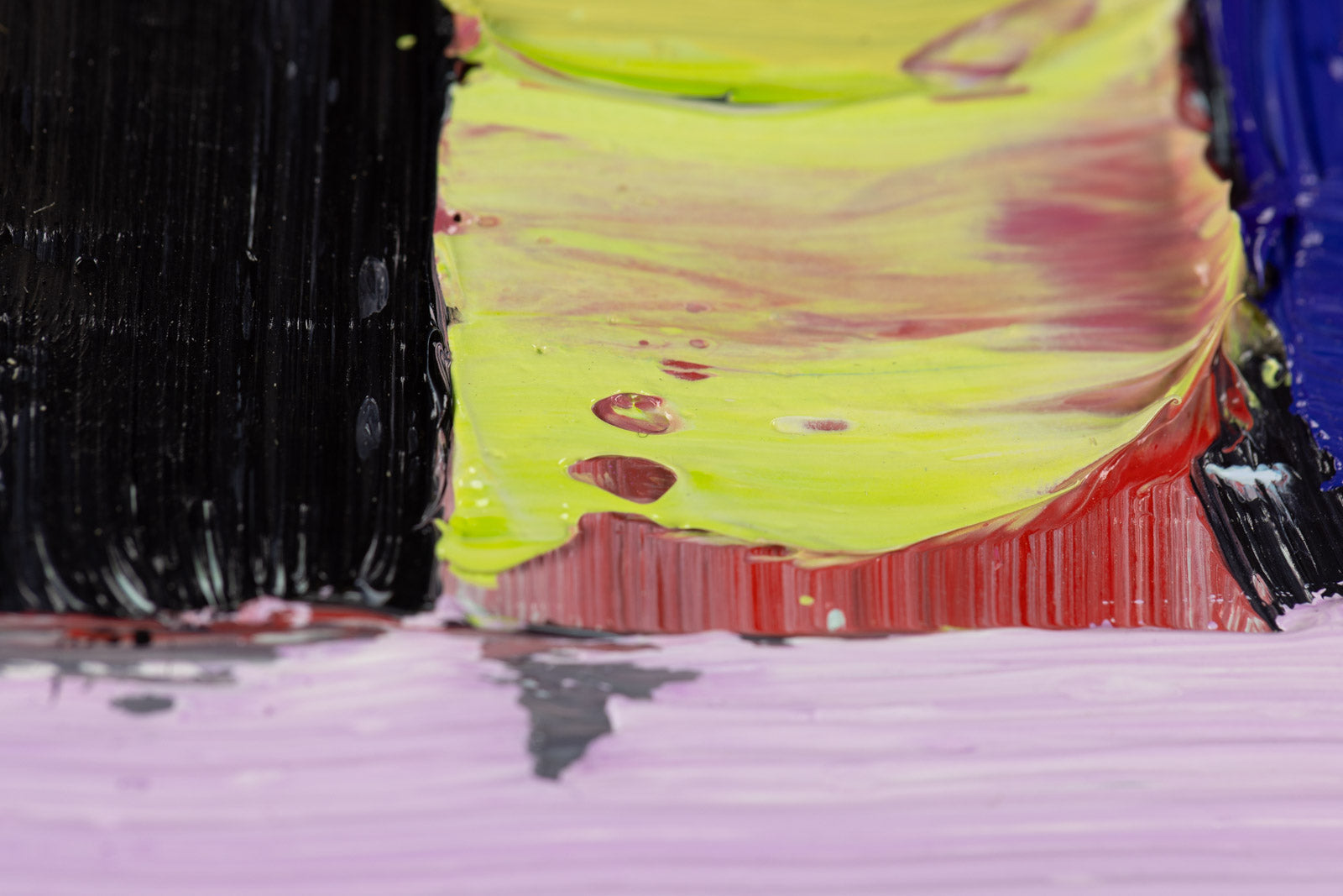 Immersed In Colour