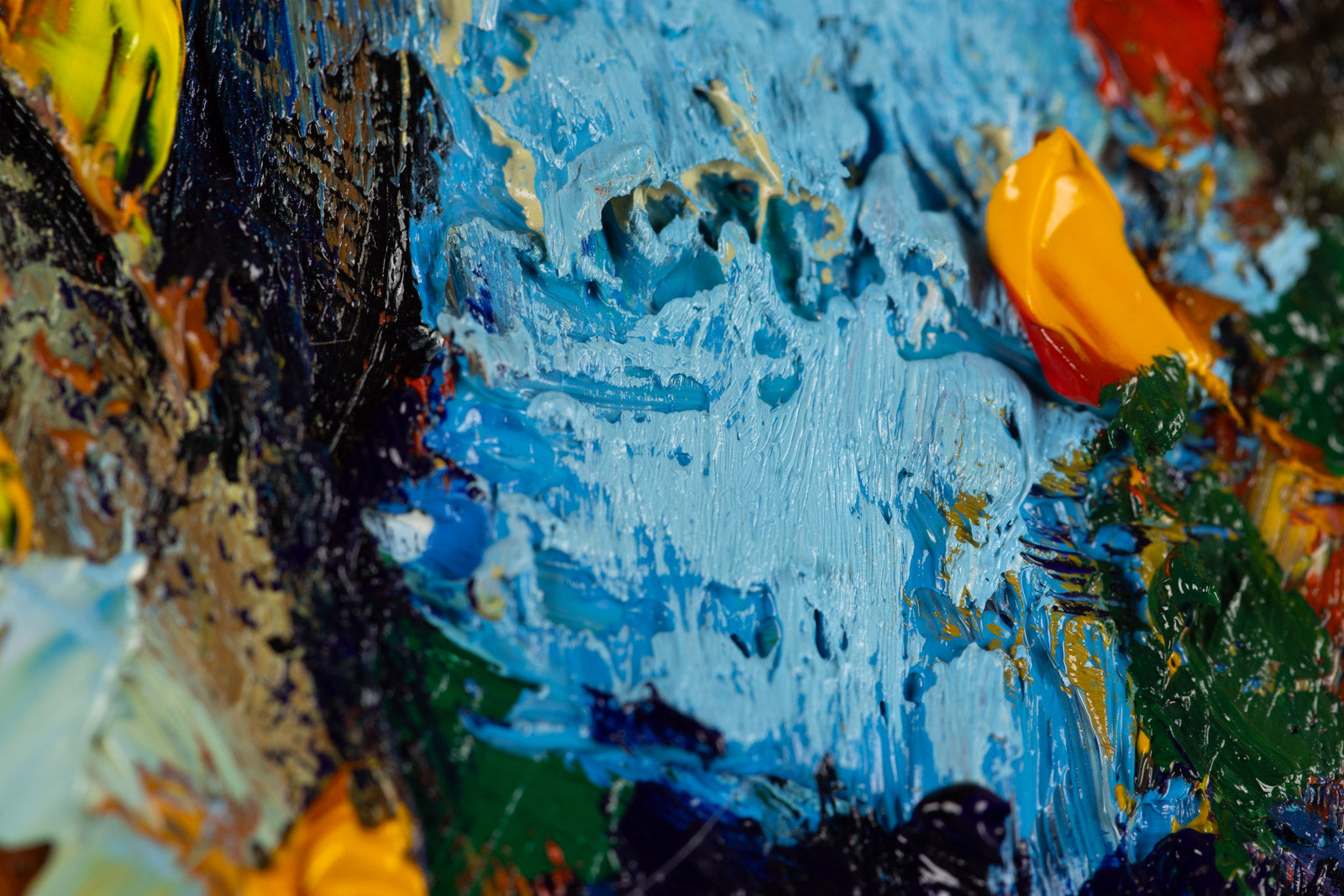 Immersed In Colour
