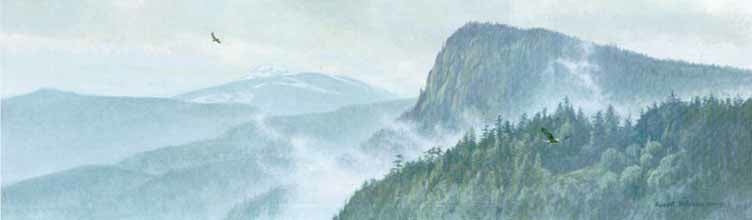 Thinking Like A Mountain