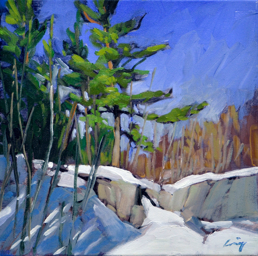 Landscape “Tall Pine Winter” by Philip Craig – oil on canvas.