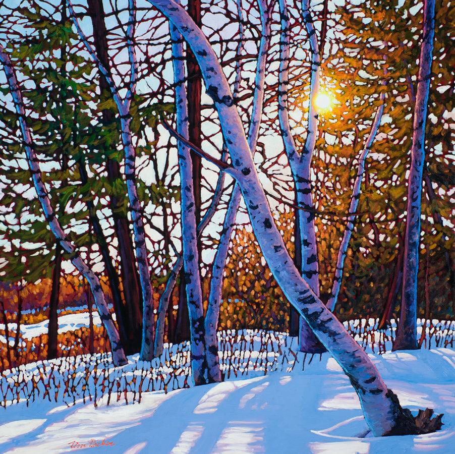 Landscape “Afternoon Glow SPO” by Tim Packer – giclee on canvas.