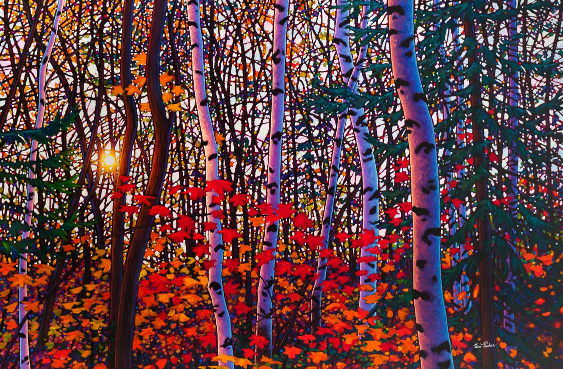 Landscape “Enchanted SPO” by Tim Packer – giclee on canvas.