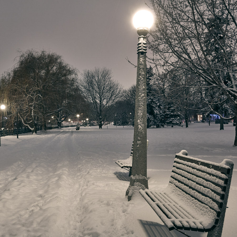 Ottawa “Patterson Creek Path” by Ottawa – giclee on paper.