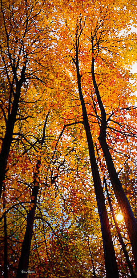 Landscape “Reaching For Gold SPO” by Tim Packer – giclee on canvas.